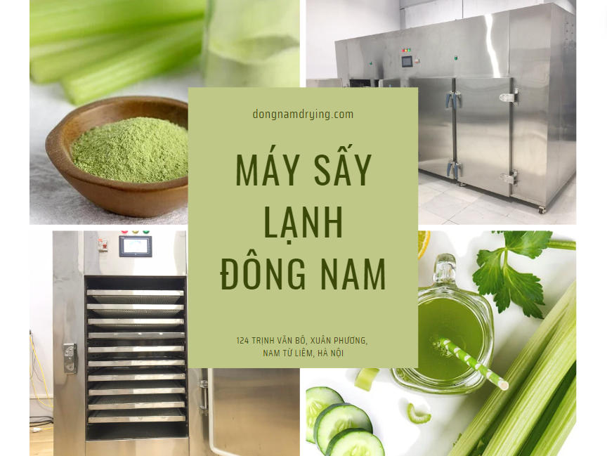 bột cần tây sấy lạnh