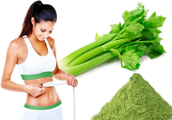 uống bột cần tây sấy lạnh có tốt không