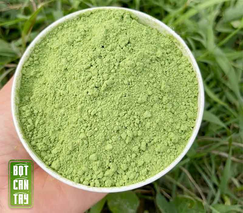 Bột cần tây sấy thăng hoa thành phẩm siêu mịn