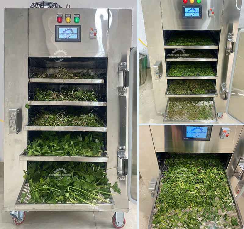 Rau cần tây sấy lạnh vẫn giữ màu sắc đẹp