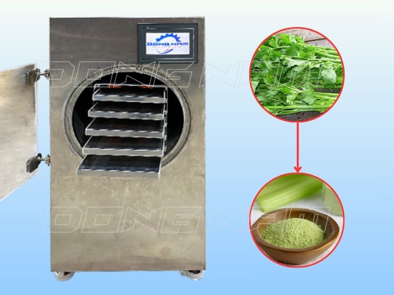 Cách làm bột cần tây sấy thăng hoa