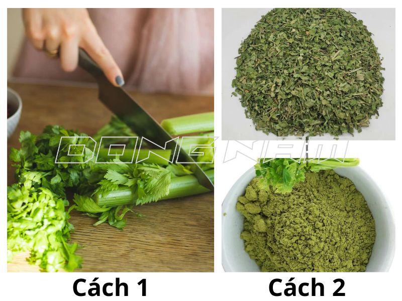 Cách làm bột cần tây sấy thăng hoa