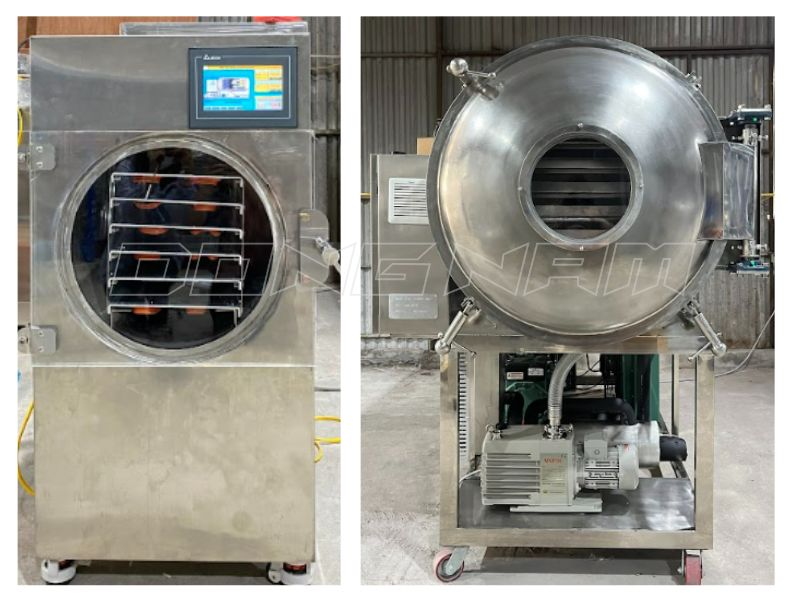 Cách làm bột cần tây sấy thăng hoa