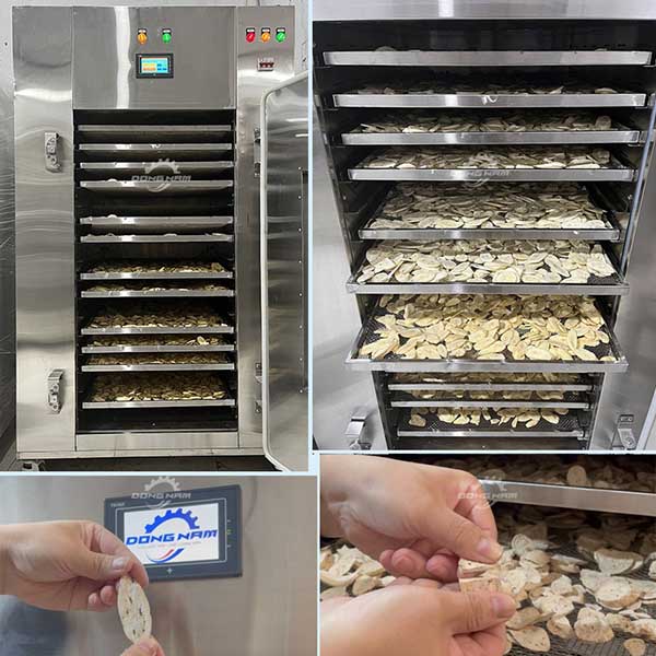 Chuối xanh bỏ vỏ khách Đông Nam sấy cho màu sắc đẹp