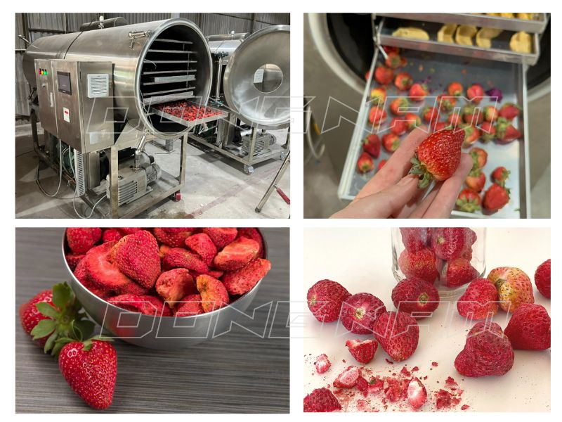 Cách làm dâu tây sấy giòn