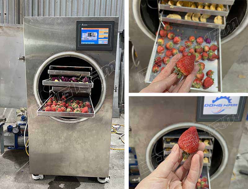 Dâu tây sấy thăng hoa