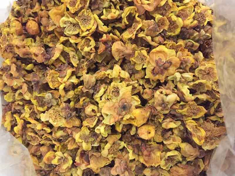 Trà hoa vàng sấy nhiệt cho chất lượng thành phẩm không đạt