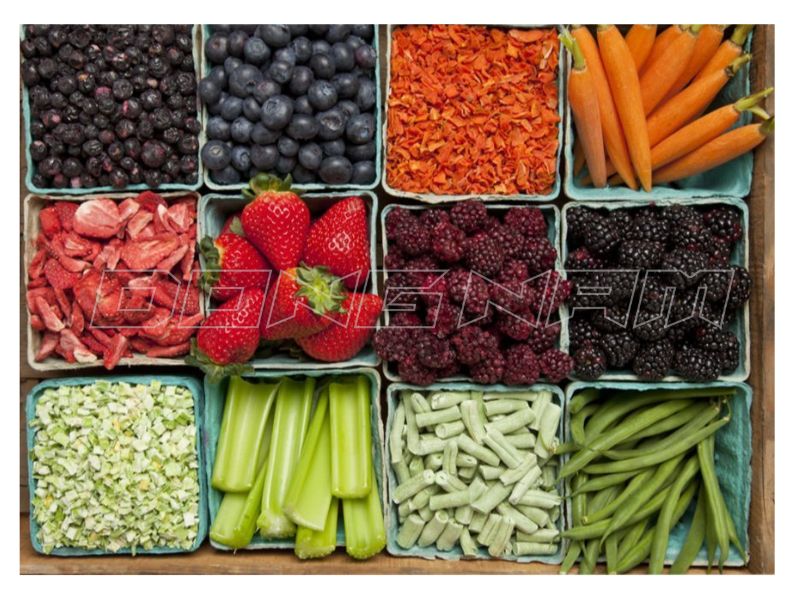 công nghệ sấy lạnh