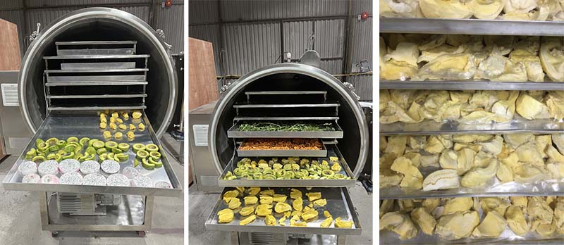 Cho sầu riêng vào máy sấy thăng hoa