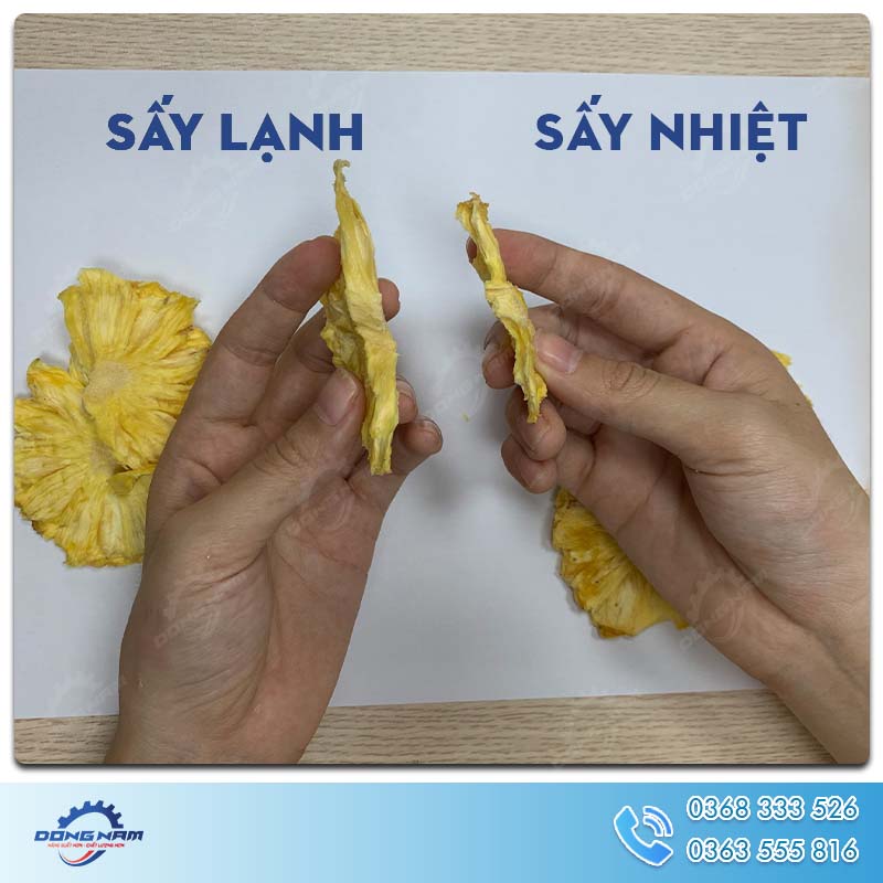 So sánh dứa sấy lạnh và sấy nhiệt