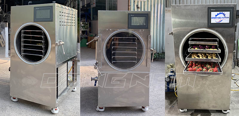 Máy sấy thăng hoa mini Đông Nam