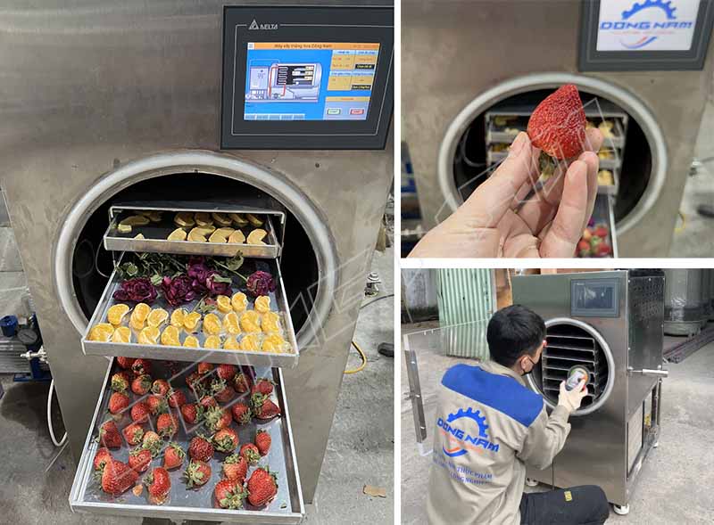 Sở hữu máy sấy thăng hoa mini cho chất lượng thành phẩm giá trị cao