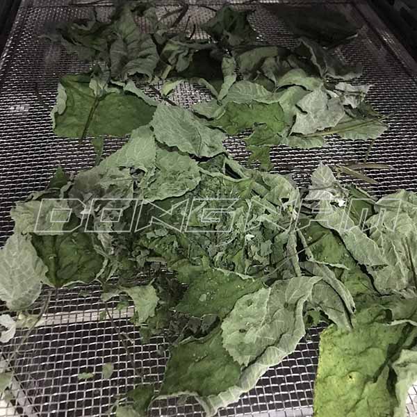 Lá dược liệu sấy lạnh giữ nguyên màu