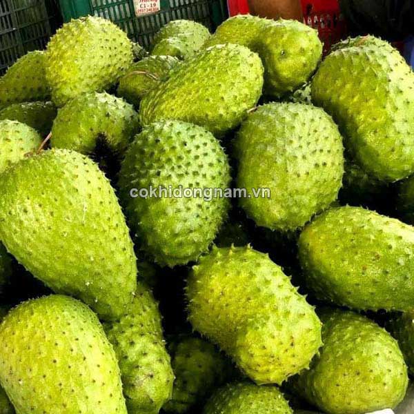 Lựa chọn mãng cầu 