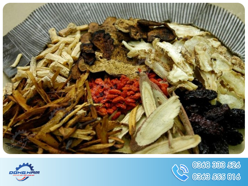 Máy sao dược liệu Đông Nam