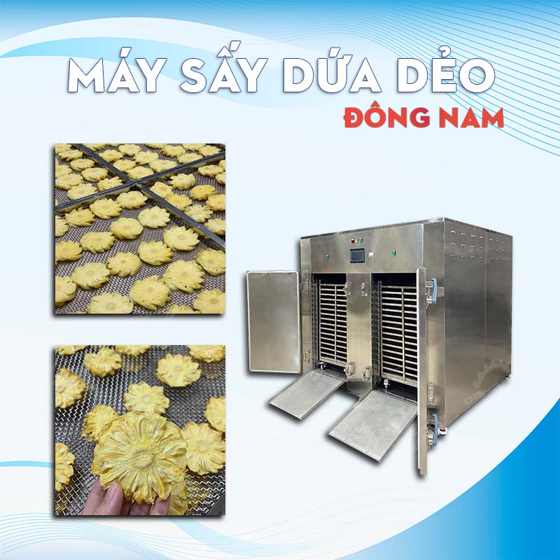 Máy sấy dứa Đông Nam
