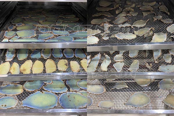 Máy sấy dược liệu Đông Nam giữ màu sắc, hoạt chất