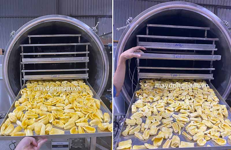 Máy sấy mít giòn