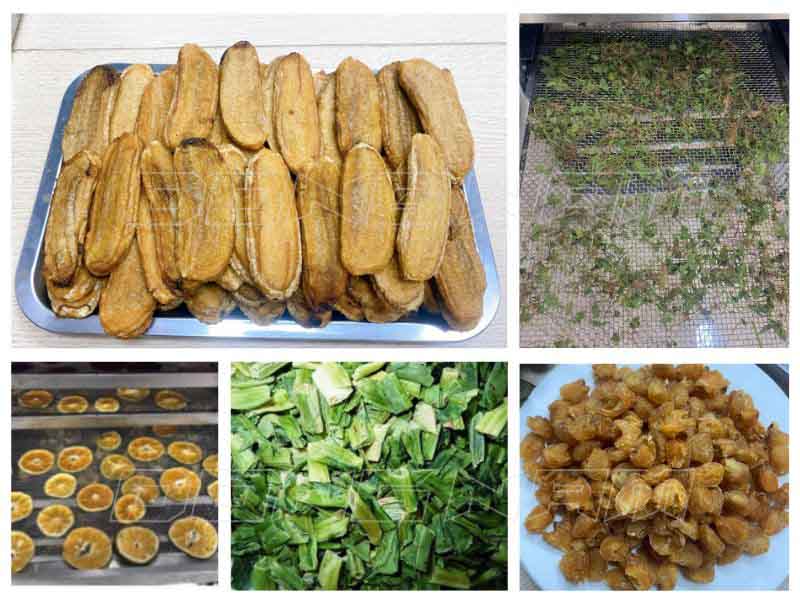 Máy sấy rau củ quả giúp bảo quản sản phẩm được lâu hơn