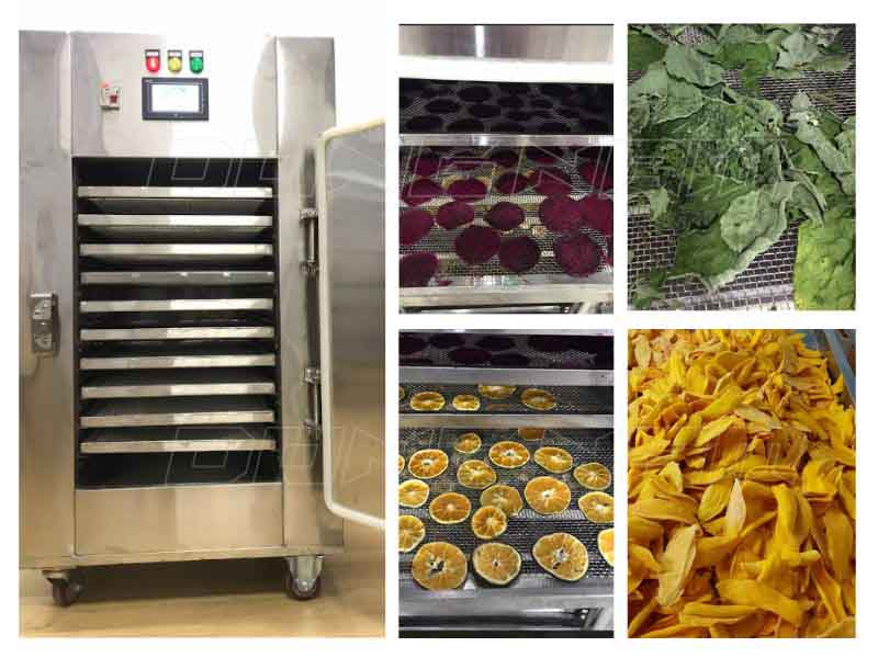 Máy sấy rau củ quả Đông Nam chất lượng cao