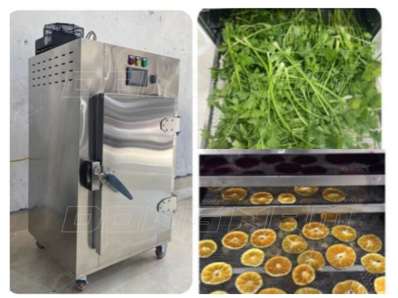 Máy sấy lạnh mini MSL-150