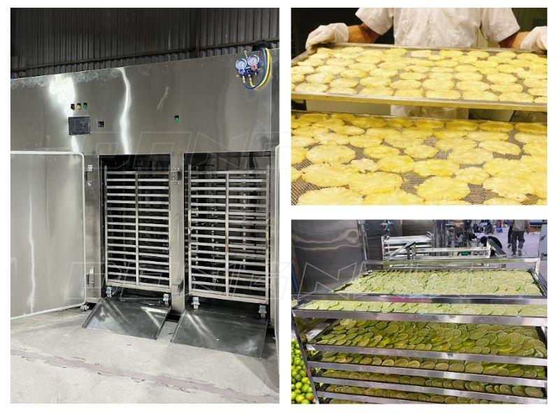 Máy sấy rau củ quả công nghiệp