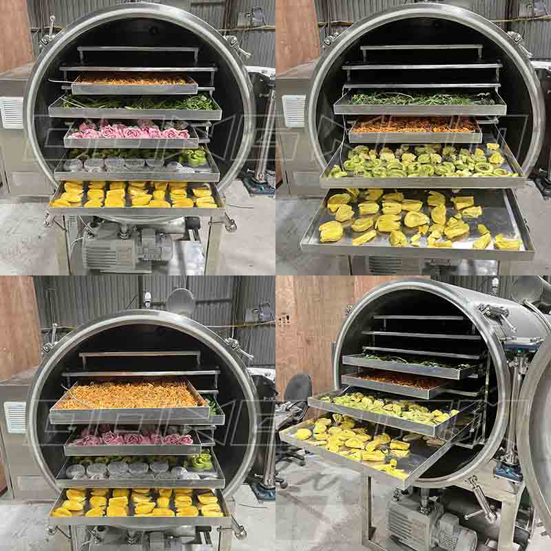 máy sấy thăng hoa