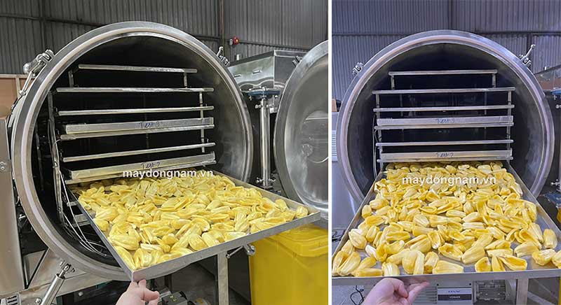 Cho mít vào máy sấy thăng hoa