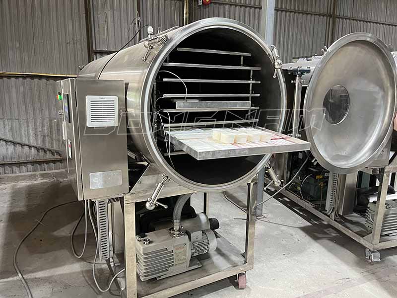 Máy sấy thăng hoa sữa chua