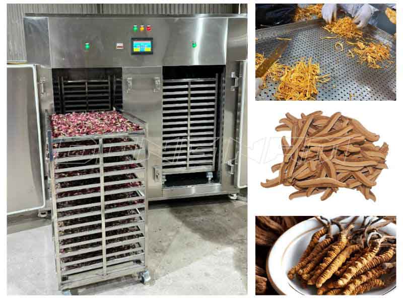 Máy sấy lạnh dùng để sấy dược liệu có giá trị cao