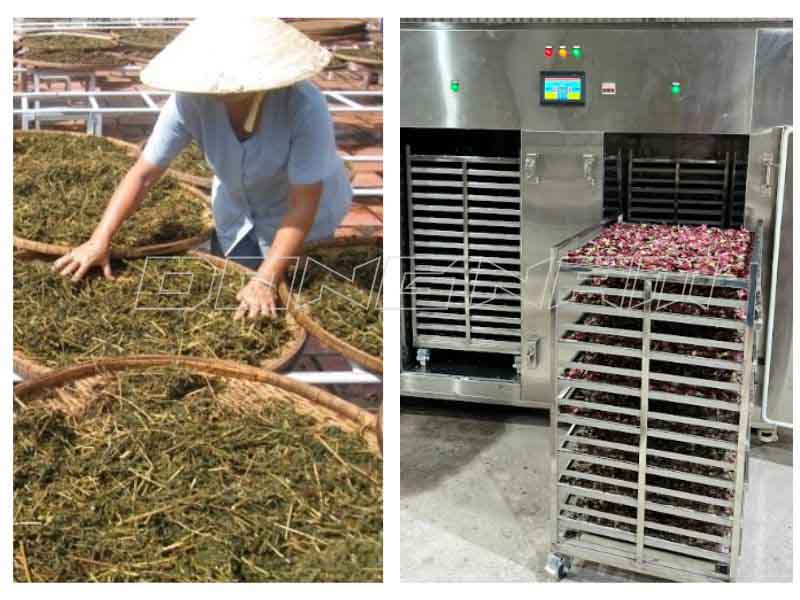Máy sấy thuốc nam được nhiều người lựa chọn thay vì phương pháp phơi khô