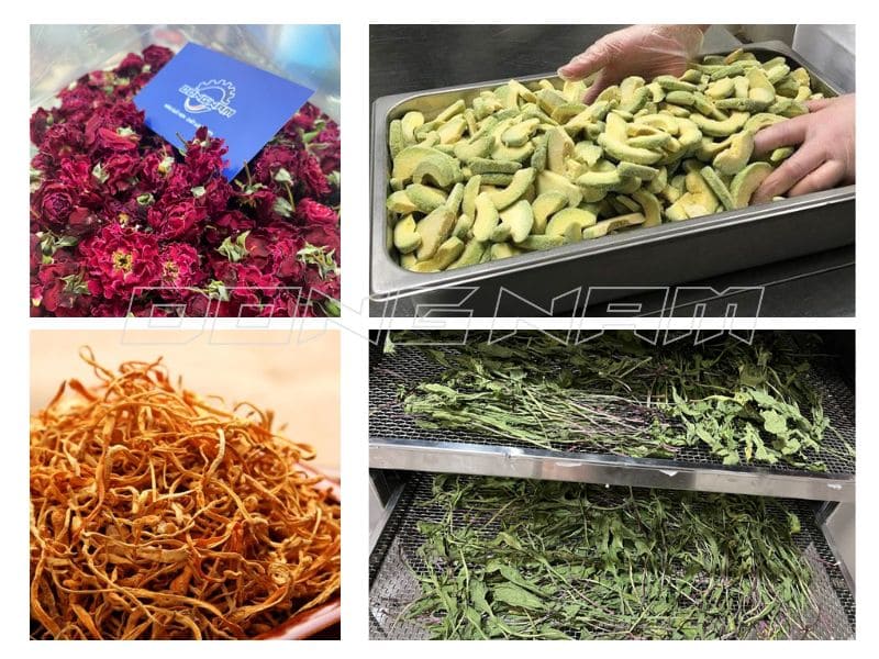 phương pháp sấy lạnh