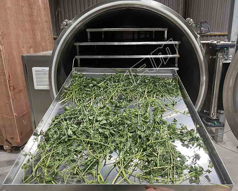 Rau cần tây sấy thăng hoa thành phẩm