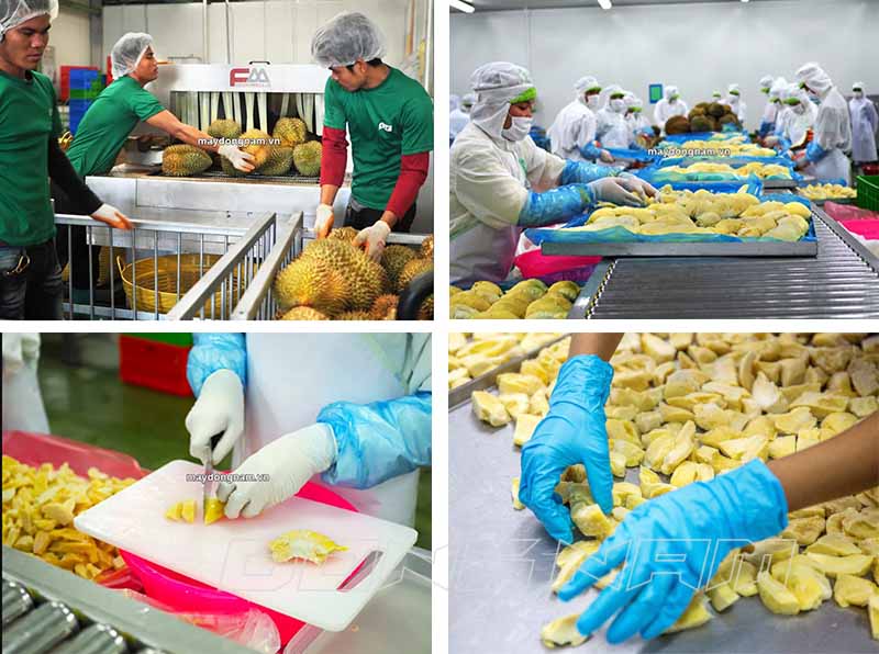 Sơ chế sầu riêng