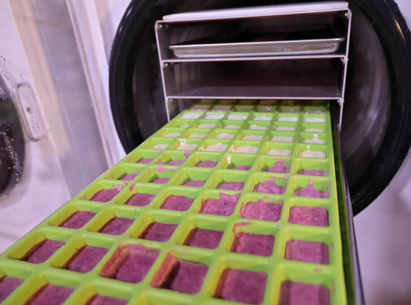 Sữa chua sấy thăng hoa 