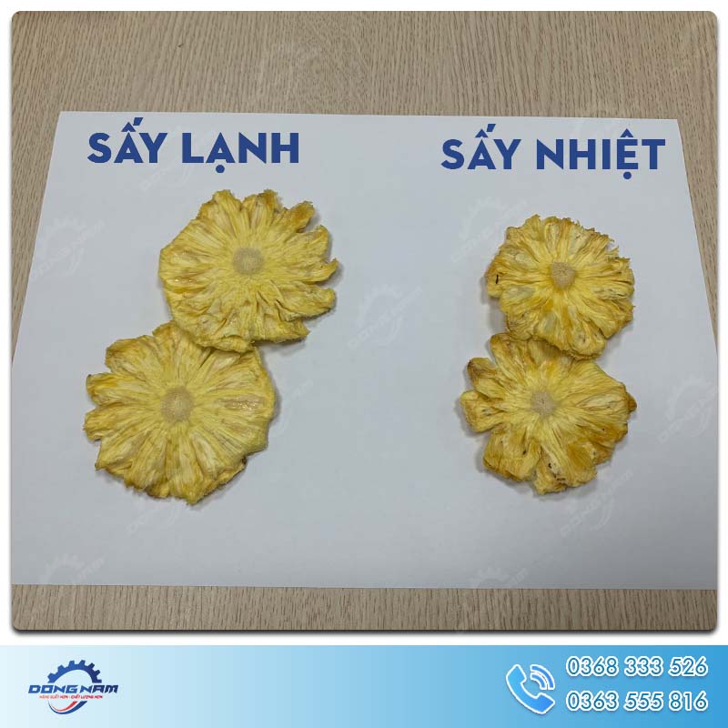 So sánh dứa sấy lạnh và sấy nhiệt