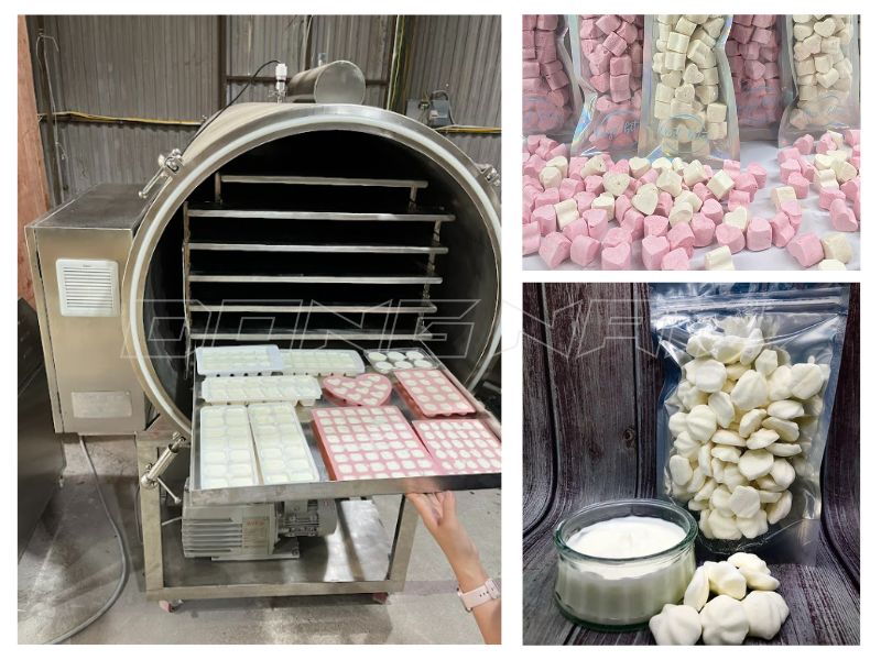 sữa chua sấy thăng hoa