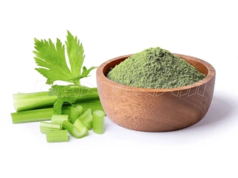 tác dụng của bột cần tây sấy lạnh