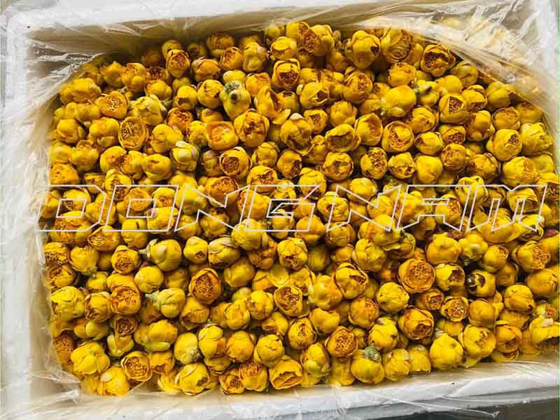 Trà hoa vàng sấy thăng hoa giữ nguyên hình dạng, màu sắc đẹp, giá trị cao