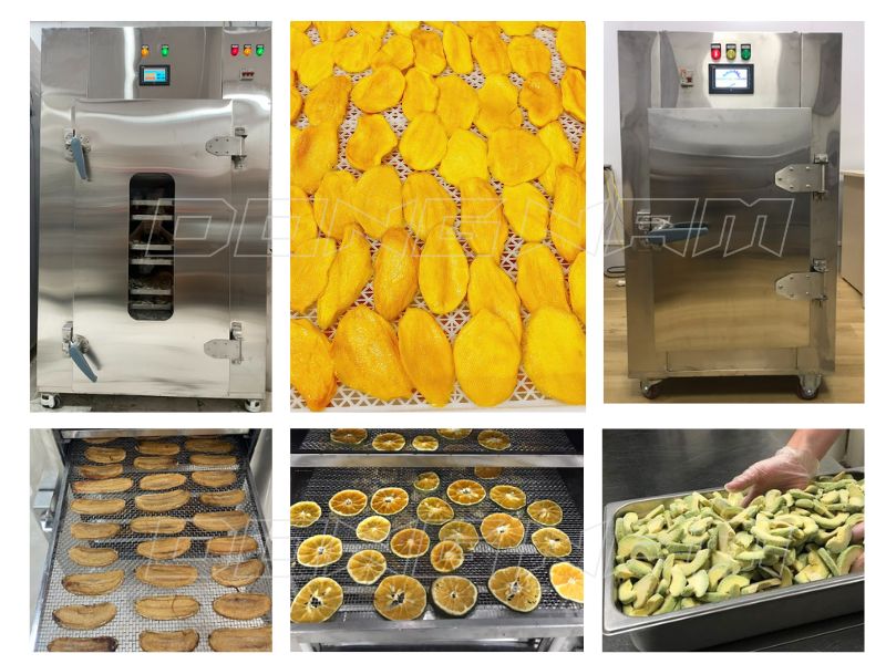 trái cây sấy lạnh