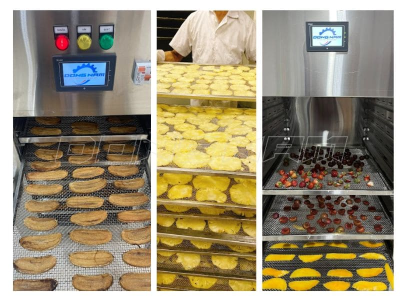 trái cây sấy lạnh