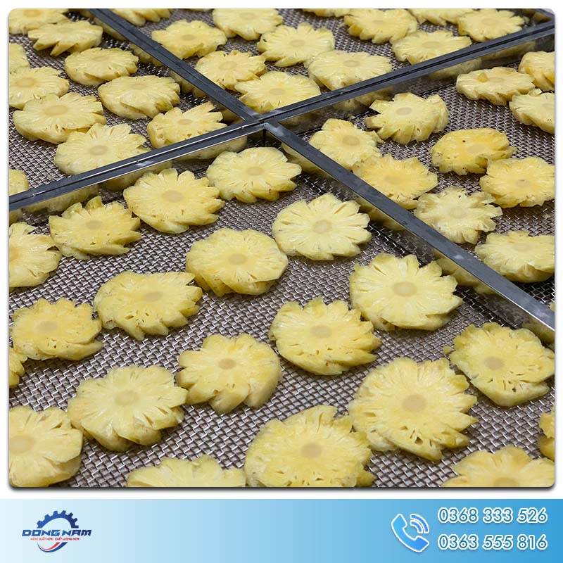 Xếp đều dứa vào khay sấy