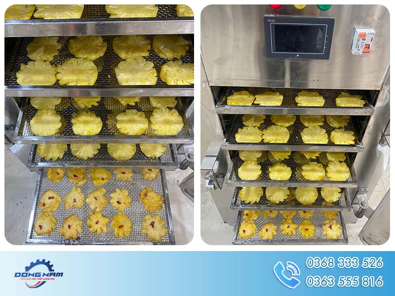 Xếp các khay dứa và máy sấy dứa Đông Nam