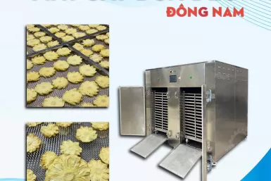 Máy sấy dứa Đông Nam Máy sấy dứa Đông Nam