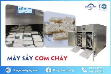 Máy sấy cơm cháy Đông Nam - Thiết bị không thể thiếu trong quy trình sản xuất cơm cháy Máy sấy cơm cháy Đông Nam - Thiết bị không thể thiếu trong quy trình sản xuất cơm cháy