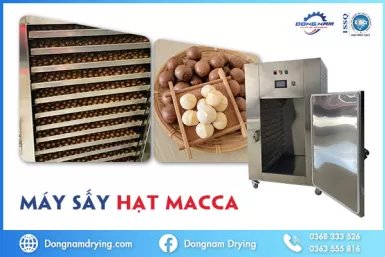 Máy sấy hạt macca Đông Nam Máy sấy hạt macca Đông Nam