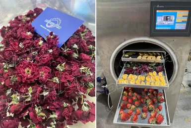 So sánh sấy lạnh và sấy thăng hoa So sánh sấy lạnh và sấy thăng hoa