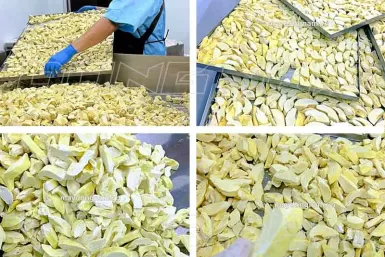 Công nghệ sấy thăng hoa sầu riêng Công nghệ sấy thăng hoa sầu riêng