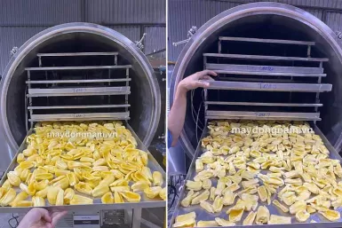 Máy sấy mít giòn Máy sấy mít giòn