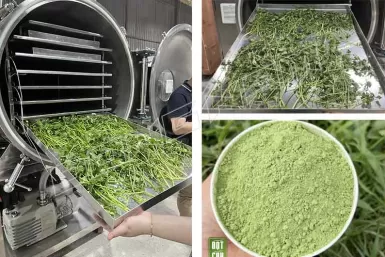 Quy trình sản xuất bột cần tây sấy thăng hoa hiện đại nhất Quy trình sản xuất bột cần tây sấy thăng hoa hiện đại nhất